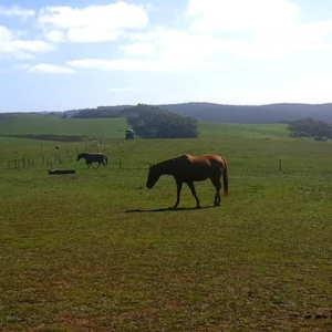 Fleurieu Views Home Page Cropped